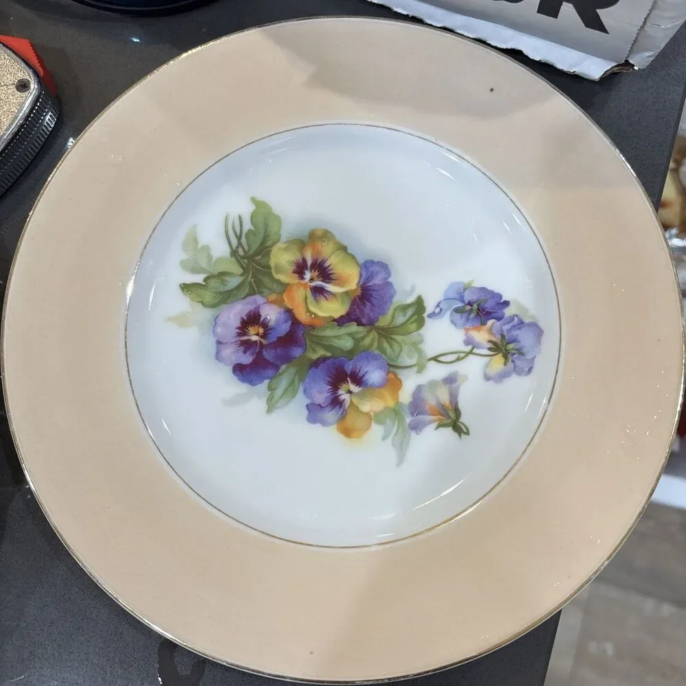 Vintage Austria HUB Hand Painted Violets Dinner PLATE - 8 5/8” Dia Peach White